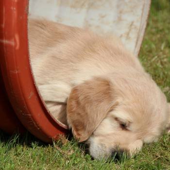 MatTadeusz's profile picture. $DOG   🦣🦣🦣