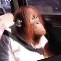 Uncle Baby Billy (@txmannymo) 's Twitter Profile Photo Uncle Baby Billy (@txmannymo) 's Twitter Profile Photo
