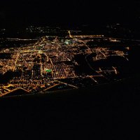 Weevil Knievel (@blueweevils) 's Twitter Profile Photo