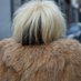 Joanne The Scammer (@joanneprada) Twitter profile photo Joanne The Scammer (@joanneprada) Twitter profile photo