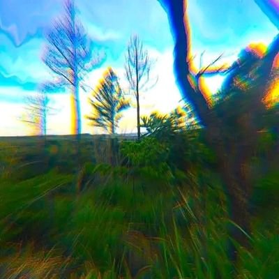 Mckenzi_Q's profile picture. 🍃