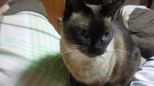 0518na's profile picture. 