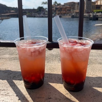 dog_snow_white's profile picture. 2011.5乳がん初発、2020.12乳がん骨転移、2024.8メラノーマ / 2つのがんと闘ってます / 顎骨壊死&心疾患あり / 詳しい病歴は固定📌で記載 / いろんな辛さを抱えながら頑張ってる方々とここで繋がれたら嬉しいです♪ / 無言フォロー失礼しますm(_ _)m / いいね♡は応援&共感です