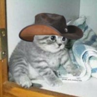 ๐ฑ๐จreverend walkemdownnhitemwabrick๐ฑ๐จ (@vstromg) 's Twitter Profile