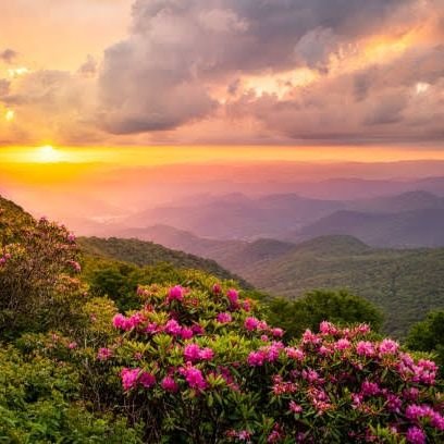 Esra577577's profile picture. 