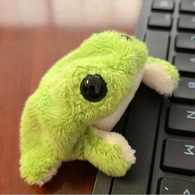 FrogCouncilCTF's profile picture. CTF Team
https://t.co/rM0H5ue5vg