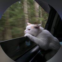 Tala (@j26ii) Twitter profile photo