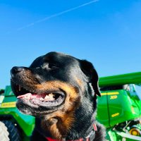 Simscott (@lathemfarms) 's Twitter Profile Photo