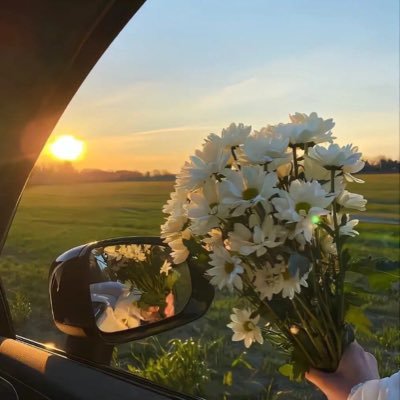 harmonyliffe's profile picture. 