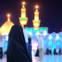 Zeynab🕊 (@syedazainab141) 's Twitter Profile