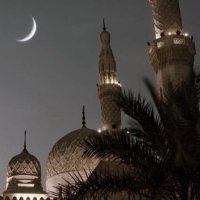 حلا (@hala219012) Twitter profile photo