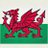 DOGE Wales 🏴󠁧󠁢󠁷󠁬󠁳󠁿💰