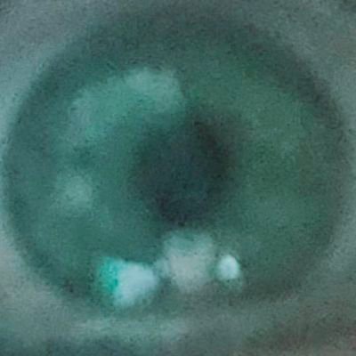 AStringAZ1's profile picture. 