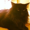 Kelsey Light - @krlight - Twitter