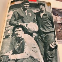 Raúl Orvañanos (@raulorvananos) 's Twitter Profile