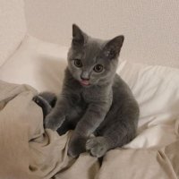 ZAPERWAVE (@zaperwave) 's Twitter Profile