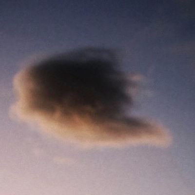 tanmrsl's profile picture. 