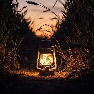 👤M
Profession_DJ 💿 Computer 💻Engineering and services 🎛🔌💻📀
Bitcoin 💳