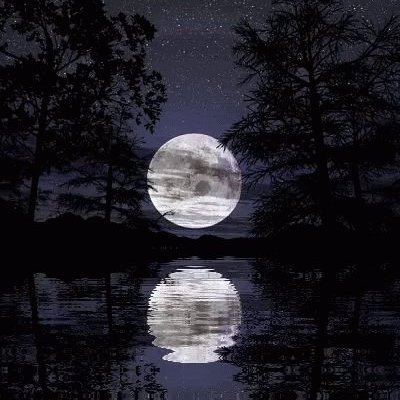 carreterus's profile picture. @1001refranes. Informático y diseñador gráfico. Me interesan las #Fotos y las #Reflexiones. #Frases #Motivación #Psicología #Imágenes #artE #art.