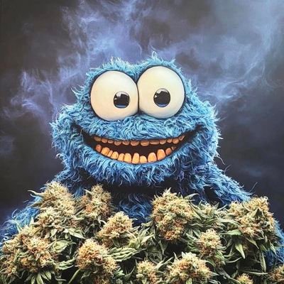 Tod_Da_Farm's profile picture. 榮譽是一個人所擁有的一切。 我每天都種草、抽大麻。 🍁10年 🍯年
Honor is all a man has.
i grow weed and smoke weed everyday.
🍁10 years
🍯years