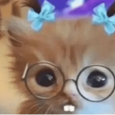 Sneaksnm's profile picture. Angel/Contributor @partyhatDAO // Zero is bullish