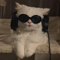 TopLuciano (@lucianoxuvlr) 's Twitter Profile