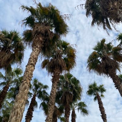 Nalmutairrii's profile picture. اللهم ارحم أخي حبيبي ناصر فهو أغلى من فقدت وعوض شبابه بالجنة.