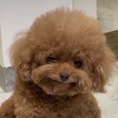 Atvandyu2002's profile picture. I ❤️Jesus!! Kindness & tolerance over anger & hate. independent thinking & innovation over allegiance to a specific party. Don’t take life 2 seriously & laugh!