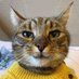 MR BACKHAND (@variant6926) Twitter profile photo MR BACKHAND (@variant6926) Twitter profile photo