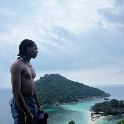 memel_seo's profile picture. Édition de site - SEO 🌱