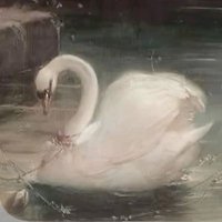 mylo 𐙚 ‧₊˚ ⋅ (@screamorexia) Twitter profile photo
