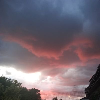 hackedoffbeta's profile picture. I don't like radical left and I don't like radical right. RT and likes =/= endorsements.