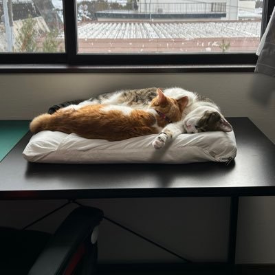 Yamato Takeruさんのプロフィール画像