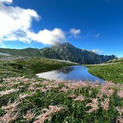 KAZUOTERAD83850's profile picture. 