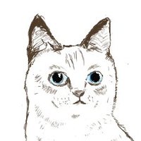Flyingcat (@flyingcat77) 's Twitter Profile