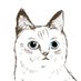 Flyingcat (@flyingcat77) Twitter profile photo Flyingcat (@flyingcat77) Twitter profile photo