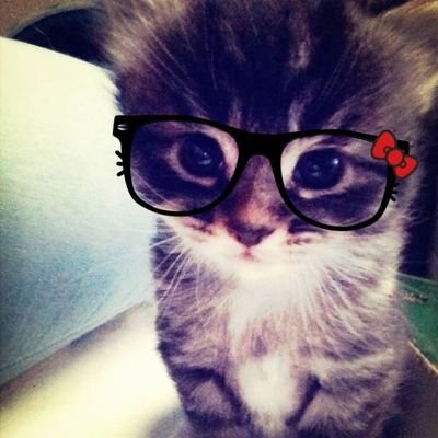 p34rlktty's profile picture. viva skz, los gatos y el hyunho