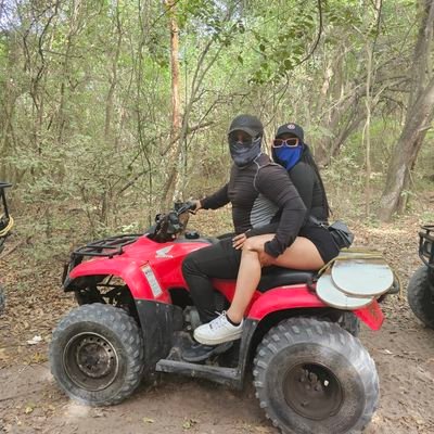 robotia33's profile picture. 