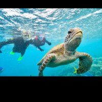 Power2thepeople (@2expialidocious) 's Twitter Profile