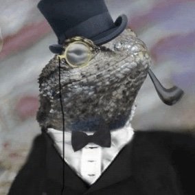 Israeli citizen 🇮🇱
Australia is my home 🇦🇺
Cold Blooded 🦎😉
#LizardSquadForever