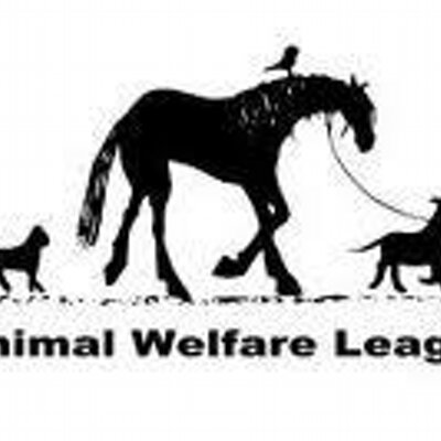 AnimalWelfareLeague (@AWLChicago) / Twitter AnimalWelfareLeague (@AWLChicago) / Twitter