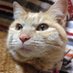 ãã€ã(䞻倫w)FXããžã³ã³ãã¬ãŒããŒ( ¯Ï¯ )âïžâŠïœ¡w (@mutuo670) Twitter profile photo ãã€ã(䞻倫w)FXããžã³ã³ãã¬ãŒããŒ( ¯Ï¯ )âïžâŠïœ¡w (@mutuo670) Twitter profile photo