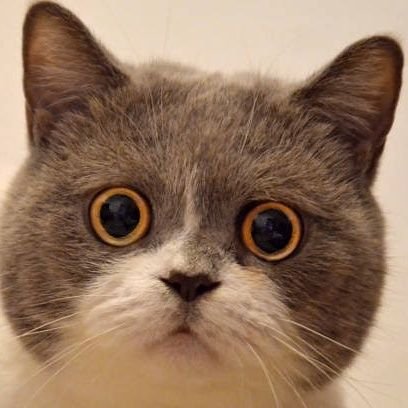 rizkymdd's profile picture. 