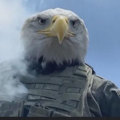 MAGAKING4547's profile picture. Emotions do not Trump facts! 🇺🇸🇺🇸
🇺🇸Trans-Parent| Who/Where🇺🇸🇺🇸
#LiberalismIsAMentalIllness