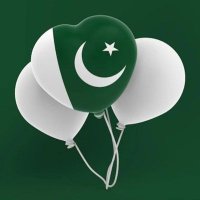 MIRZA JEE (@pml_n2023) 's Twitter Profile