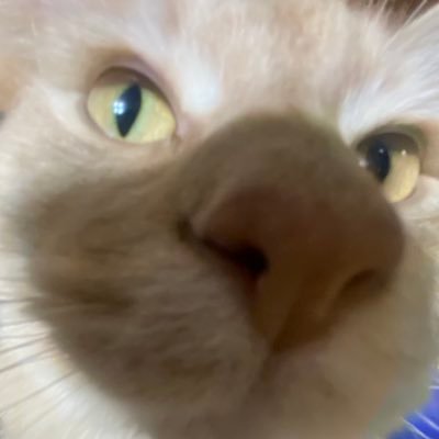 grimさんのプロフィール画像