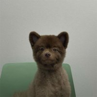 ber (@berberbersol) 's Twitter Profile Photo ber (@berberbersol) 's Twitter Profile Photo