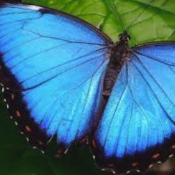 CharlotteBondoc's profile picture. SoCal living
https://t.co/WhuACSsS6W