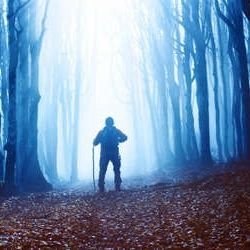 AlexitoMV2's profile picture. I must take advantage as quickly as possible before the fog falls again