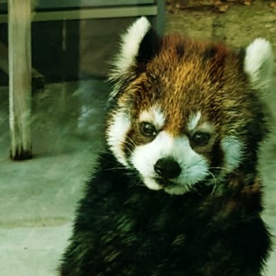 トモハラさんのプロフィール画像
